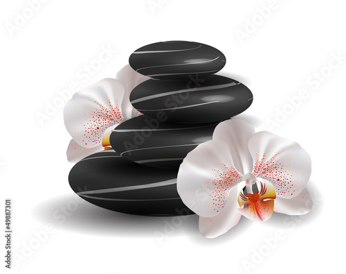 bedruckte Baumwollstoffe - Orchids and zen stones (von Black Spring)