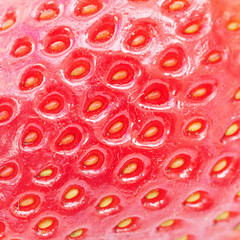 Wall Mural - macro background of big red strawberry