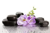 Fototapeta Tulipany - Spa stones and purple flower, isolated on white