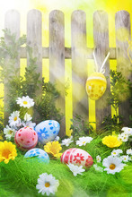 Art Easter Egg Background Fence Card Spring Flower