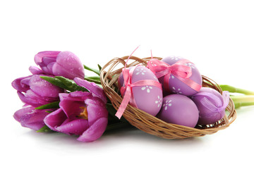 Wall Mural - Bright easter eggs in basket and tulips, isolated on white