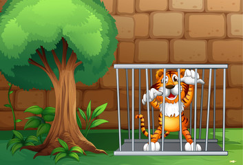 Wall Mural - A tiger in a cage made of steel