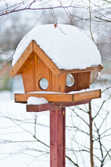 Canvas Print - Bird feeder