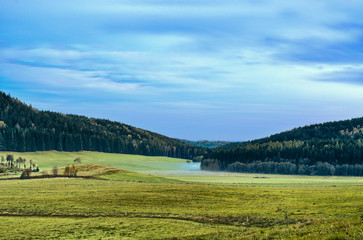 Canvas Print - Dusk near the forest