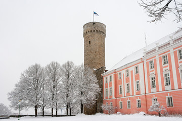 Wall Mural - Toompea. Tallinn, Estonia