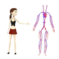 Canvas Print - 3d render of cartoon character with circulatory system