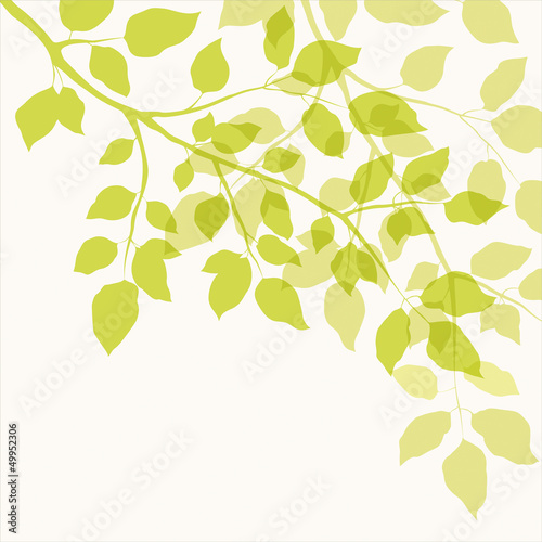 Naklejka na szafę Branch with green leaves