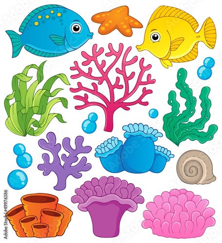 Naklejka - mata magnetyczna na lodówkę Coral reef theme collection 1