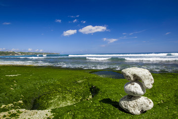 Wall Mural - white stones in a beach