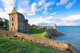 Fototapeta Las - Ruins of St Andrews Castle