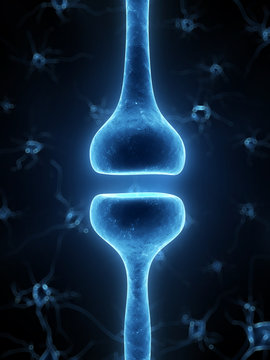 3d rendered illustration of a human receptor