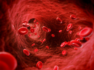 Wall Mural - 3d rendered illustration of human blood cells