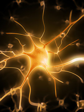 3d rendered illustration of a nerve cell