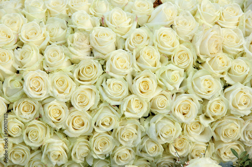 Obraz w ramie Group of white roses, wedding decorations