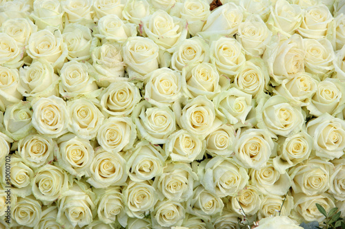 Fototapeta na wymiar Group of white roses, wedding decorations