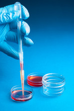 Medical Diagnostic Laboratory For Blood Test