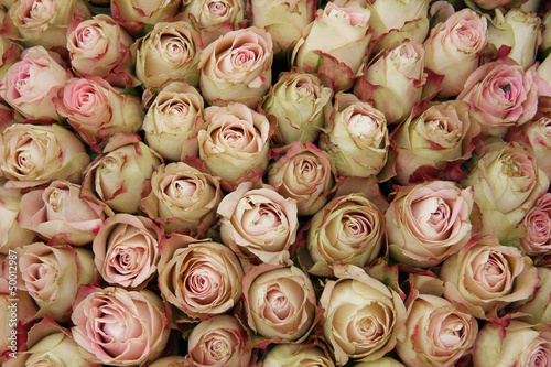 Naklejka na szafę Pale pink rose buds