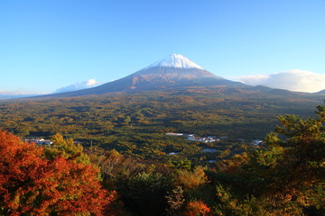 Canvas Print - Mt. Fuji with Aokigahara forest in autumn, Japan