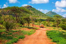 Red Ground Road, Bush With Savanna. Tsavo West, Kenya, Africa