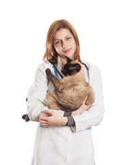 Wall Mural - female vet with a Siamese cat in her arms