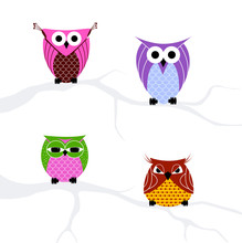 Set Of Owls