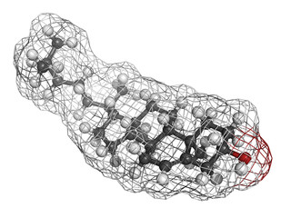 Canvas Print - Cholesterol, molecular model