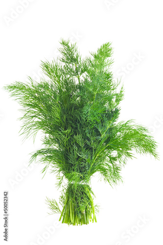 Aneth Stock Photo Adobe Stock Aneth Stock Photo Adobe Stock