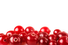 Ripe Cranberry Isolated