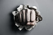 © Ivan Kmit - fist