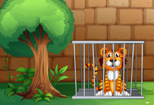 A Tiger Inside The Animal Cage