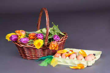 Wall Mural - brown basket with colorful tulips and eggs over grey