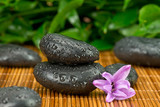 Kamienie spa