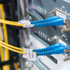 Sticker - ethernet cables connected to switch