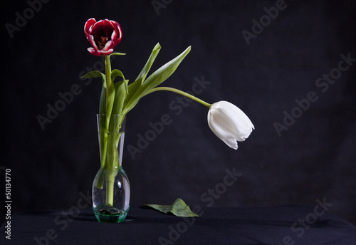 Naklejka na drzwi Para tulipanów