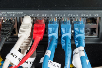 Sticker - ethernet cables connected to switch