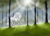 unicorno nel bosco