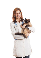 Wall Mural - female in medical uniform holding a Siamese cat