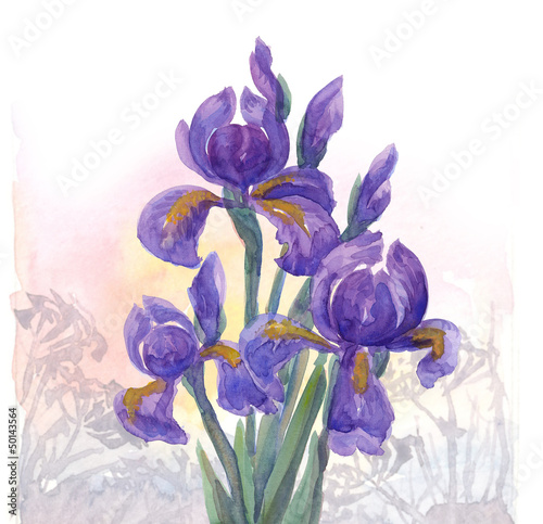 Naklejka - mata magnetyczna na lodówkę Irises