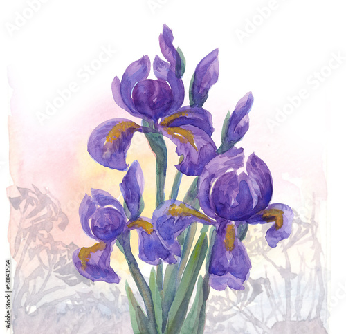 Naklejka na drzwi Irises