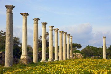 Ancient Roman site of Salamis in Famagusta, Cyprus.