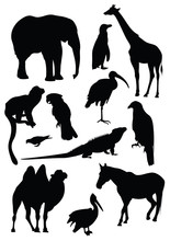 Vector Set Of Black Silhouettes Of Animals