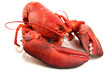 © Africa Studio - Red lobster isolated on white