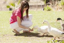 Gorgeous Young Woman Feeding Ducks At A Farm