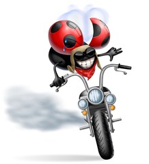 Fotomurali - coccinella biker
