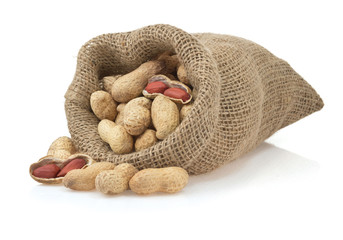 Wall Mural - nuts peanuts isolated on white