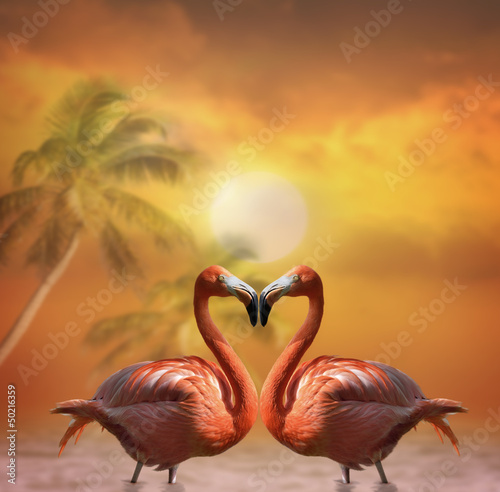 Obraz w ramie Pink Flamingos