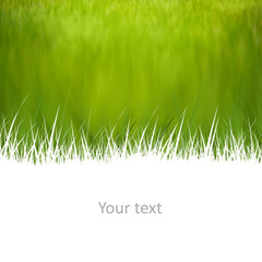 Creative natural background with room for your text