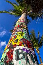 Tropical Graffiti Tree