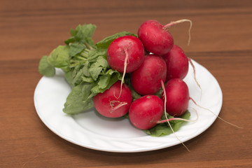 Canvas Print - red radish in a bowl on a wooden background