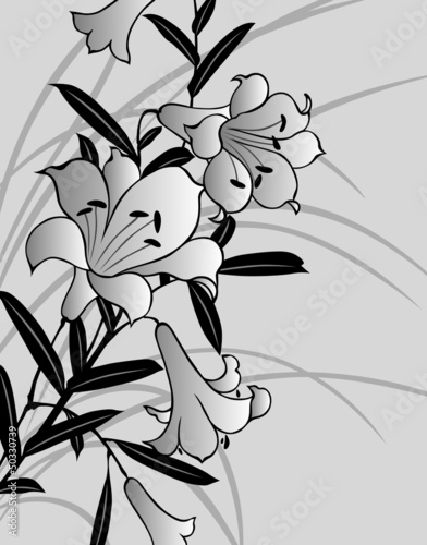Naklejka ścienna Czarno-biała ilustracja kwiat lilii